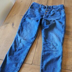 Everlane Vintage Skinny Jeans